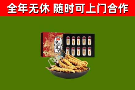 怀柔区回收冬虫夏草价格